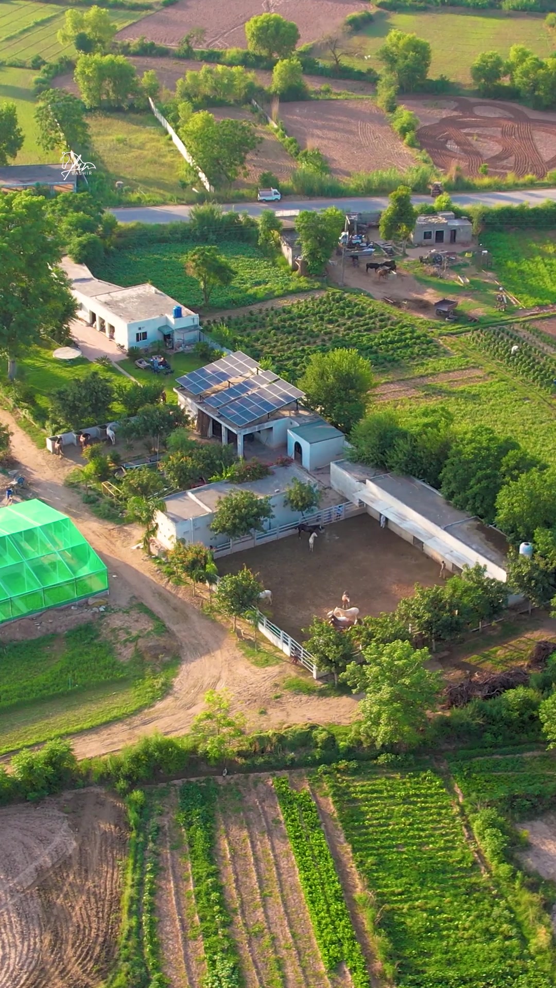 @☀️SUNRISE 🐎FARMS Rawalpindi