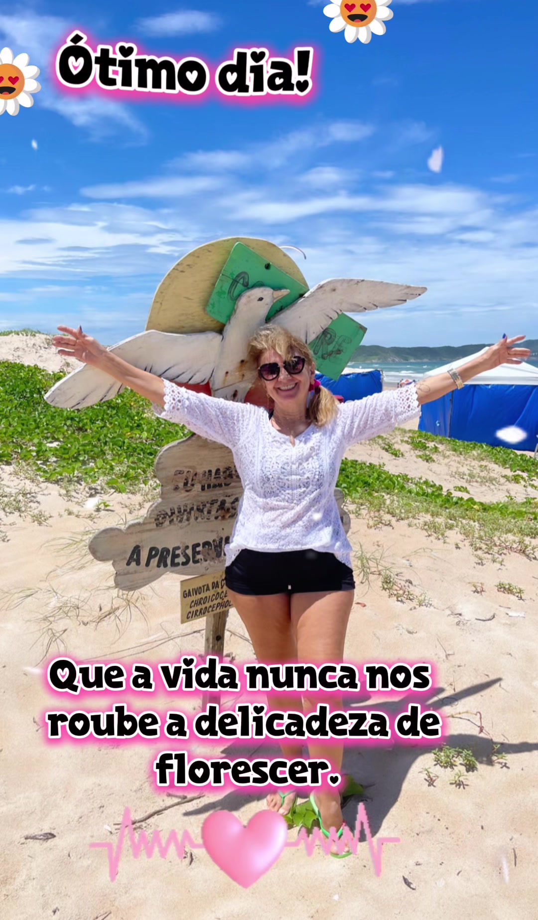 @Teresa Nobre