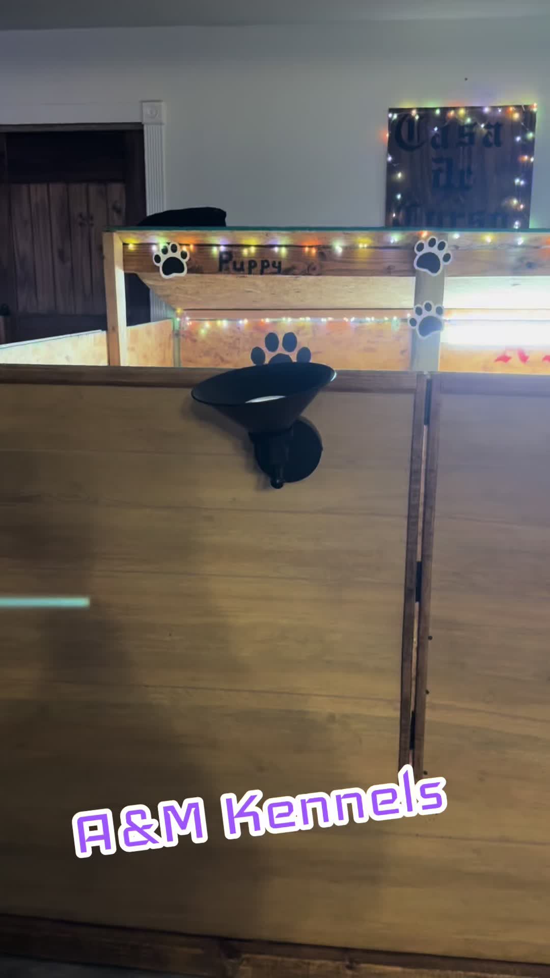 @AandMCaneCorsos