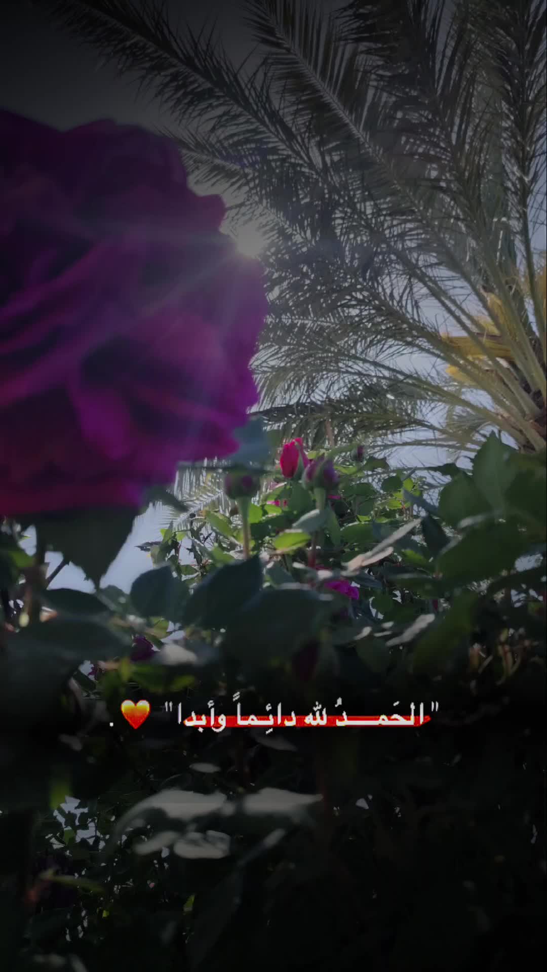 @عطور مكة