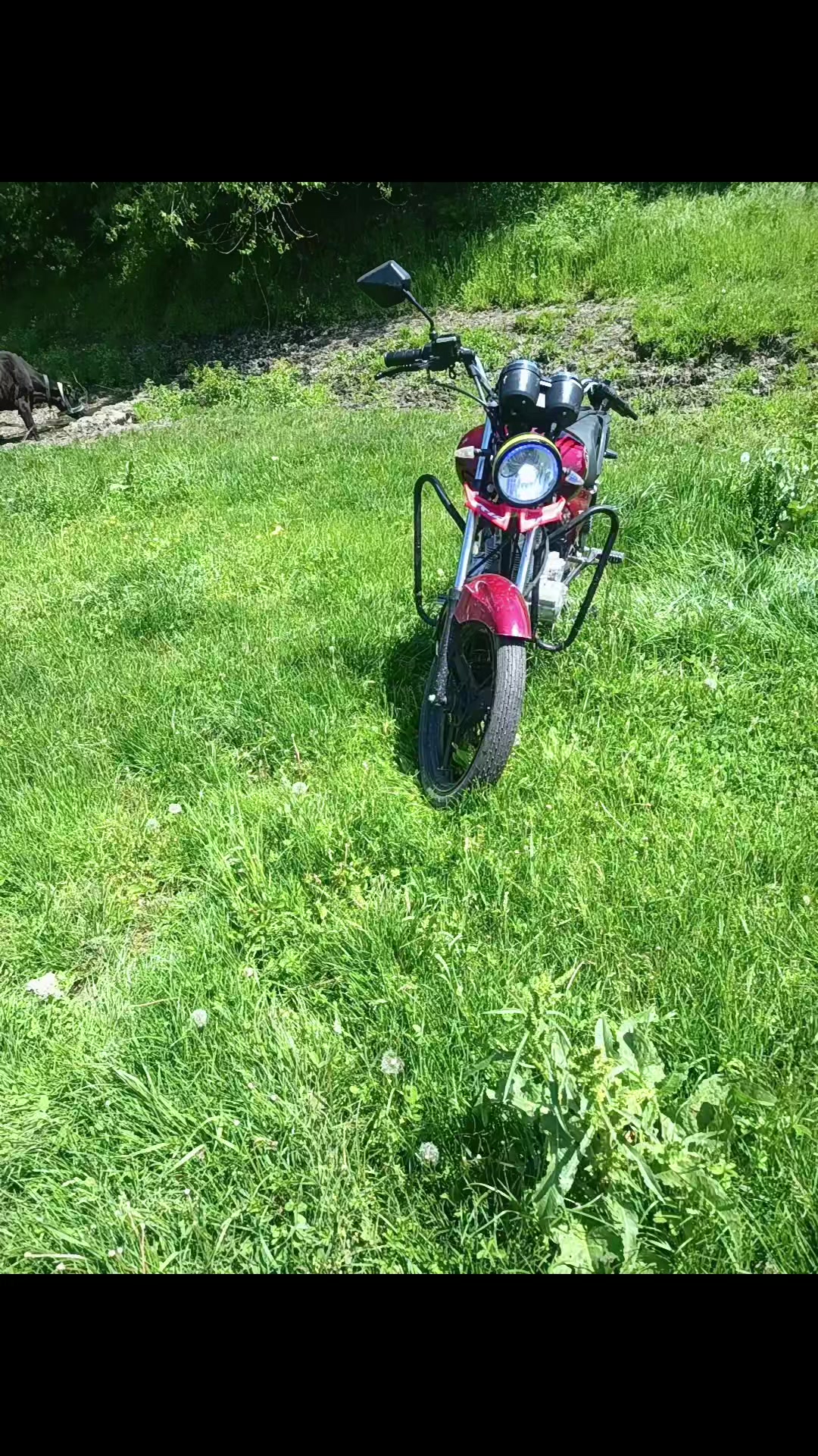 @stefan🏍️
