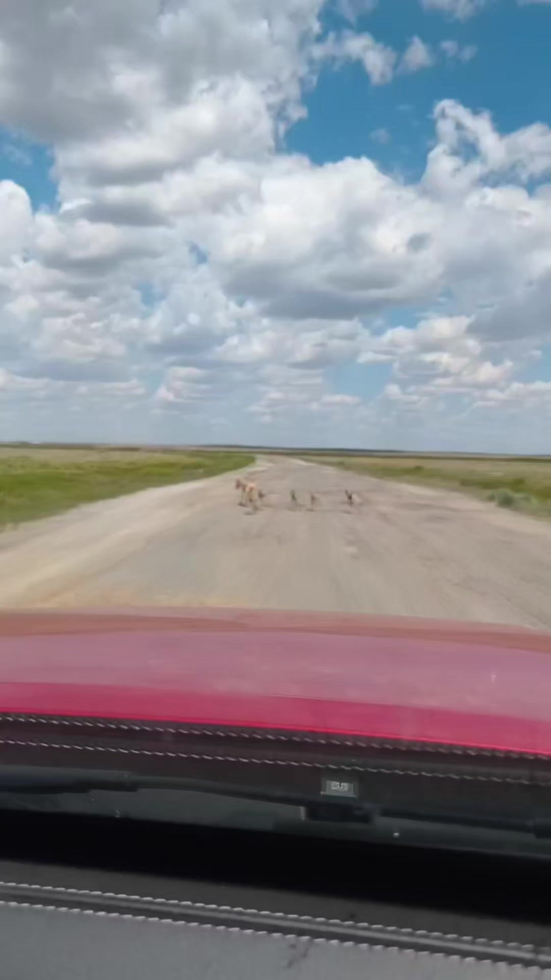 @ТАТЬЯНА РЫБАЛКА КАЗАХСТАН🐟🐟