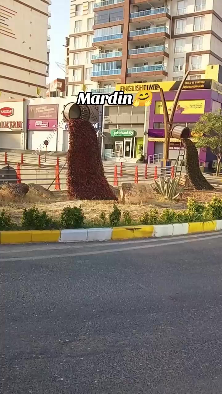 @rojin4747