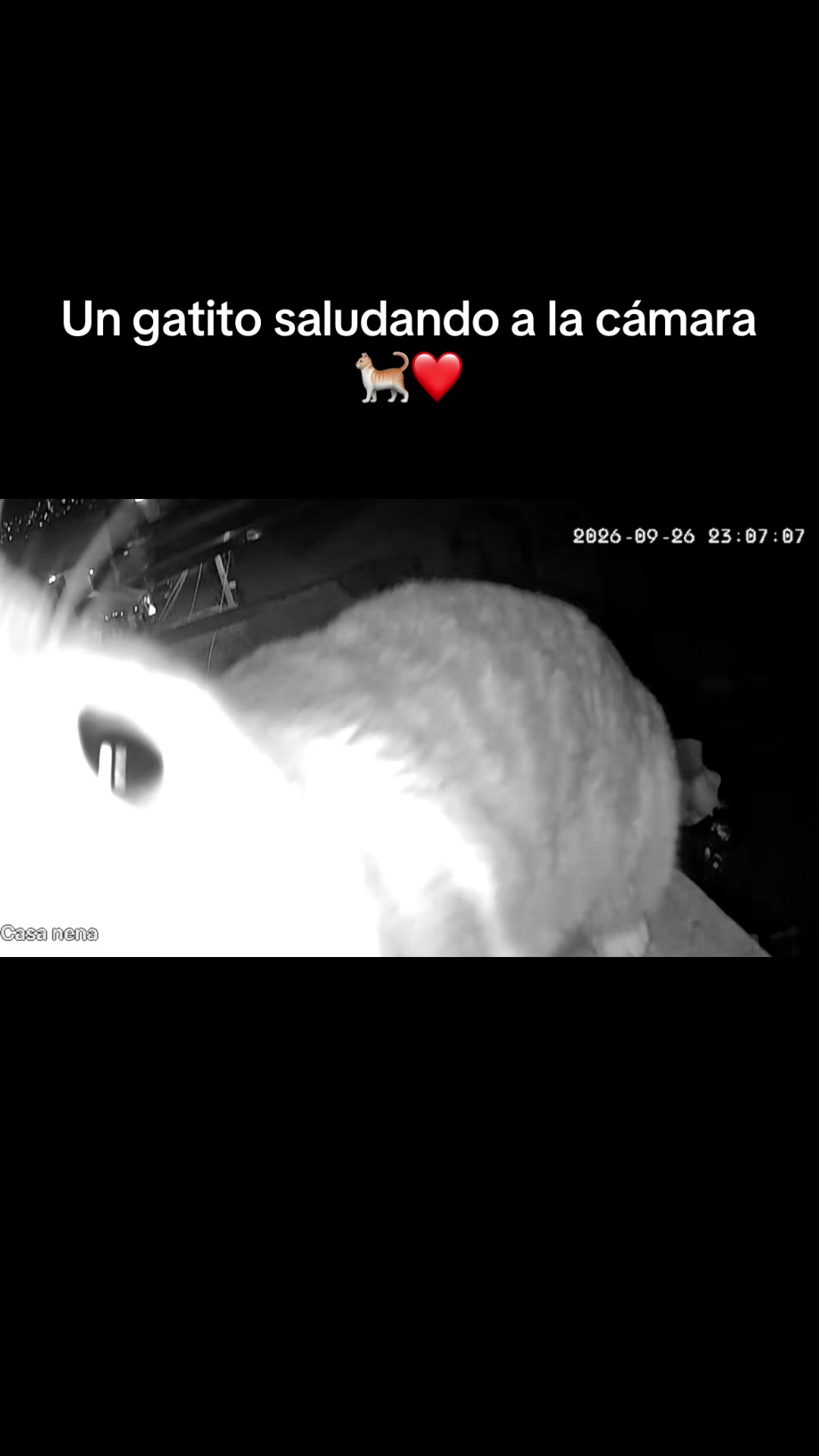 @Barbie Villanueva