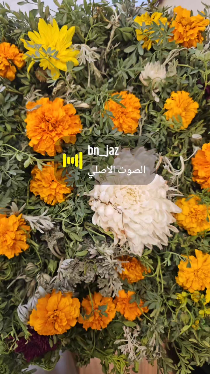 @رومانسيات الجنوب