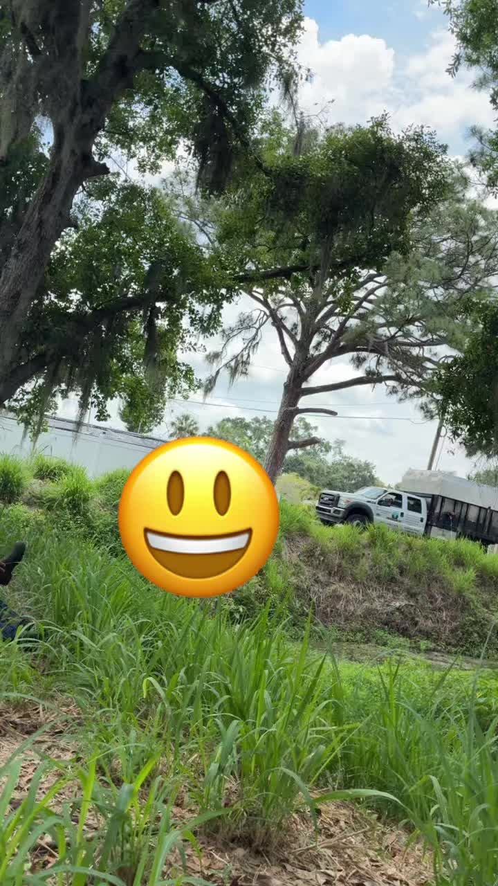 @<%☘️🌳NATANAEL 🌳🍀 📸 %>