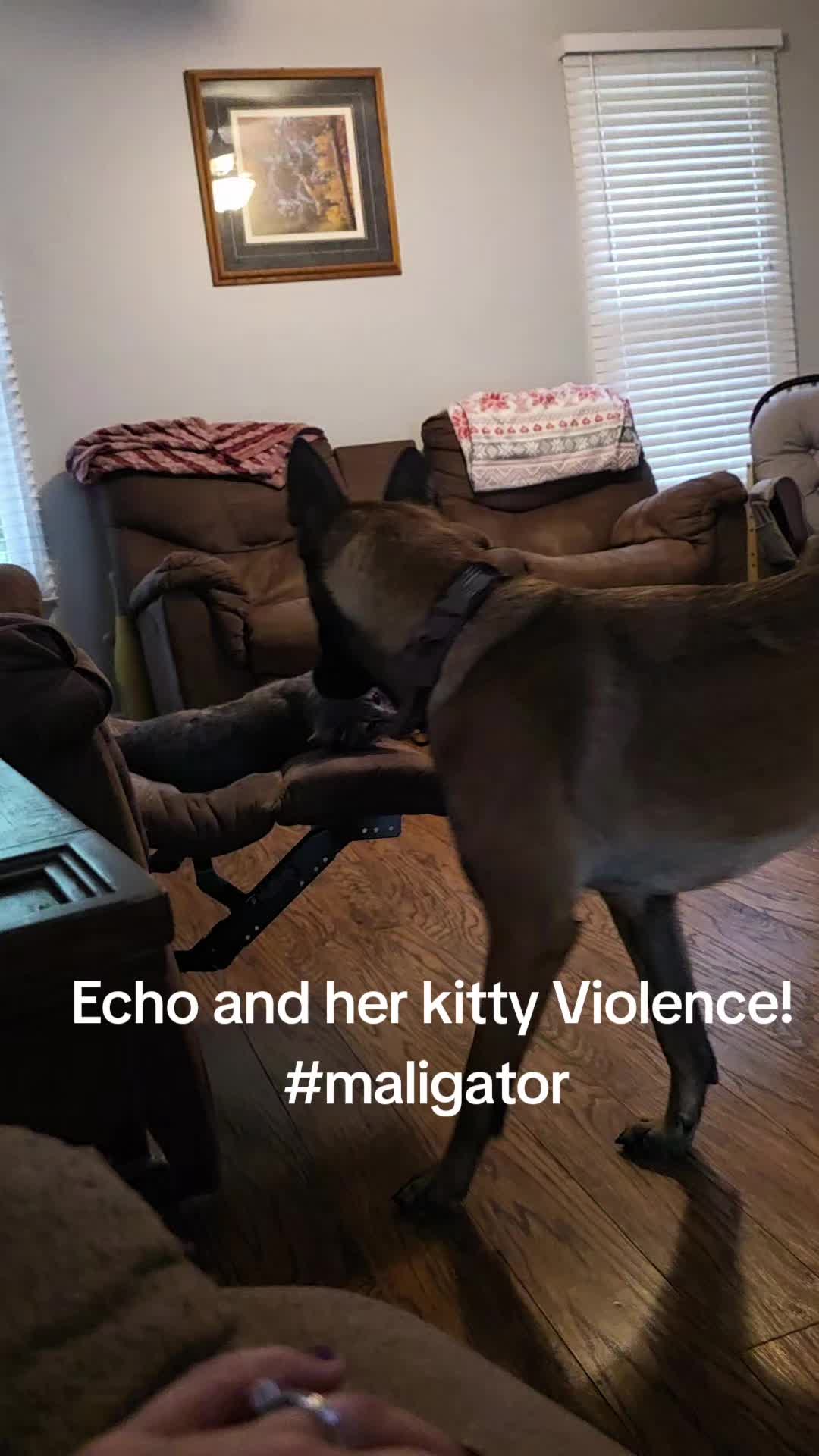 @Echo!
