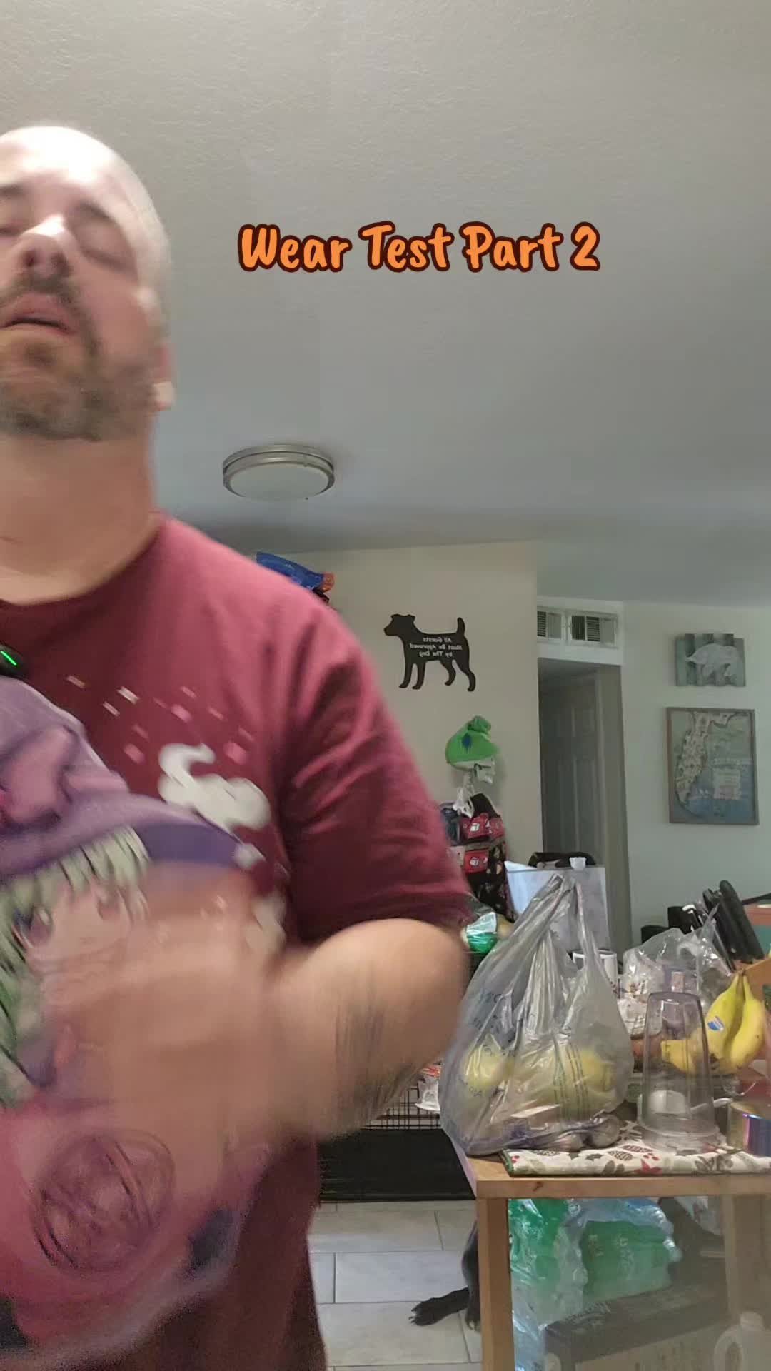 @TheWonderingFool333