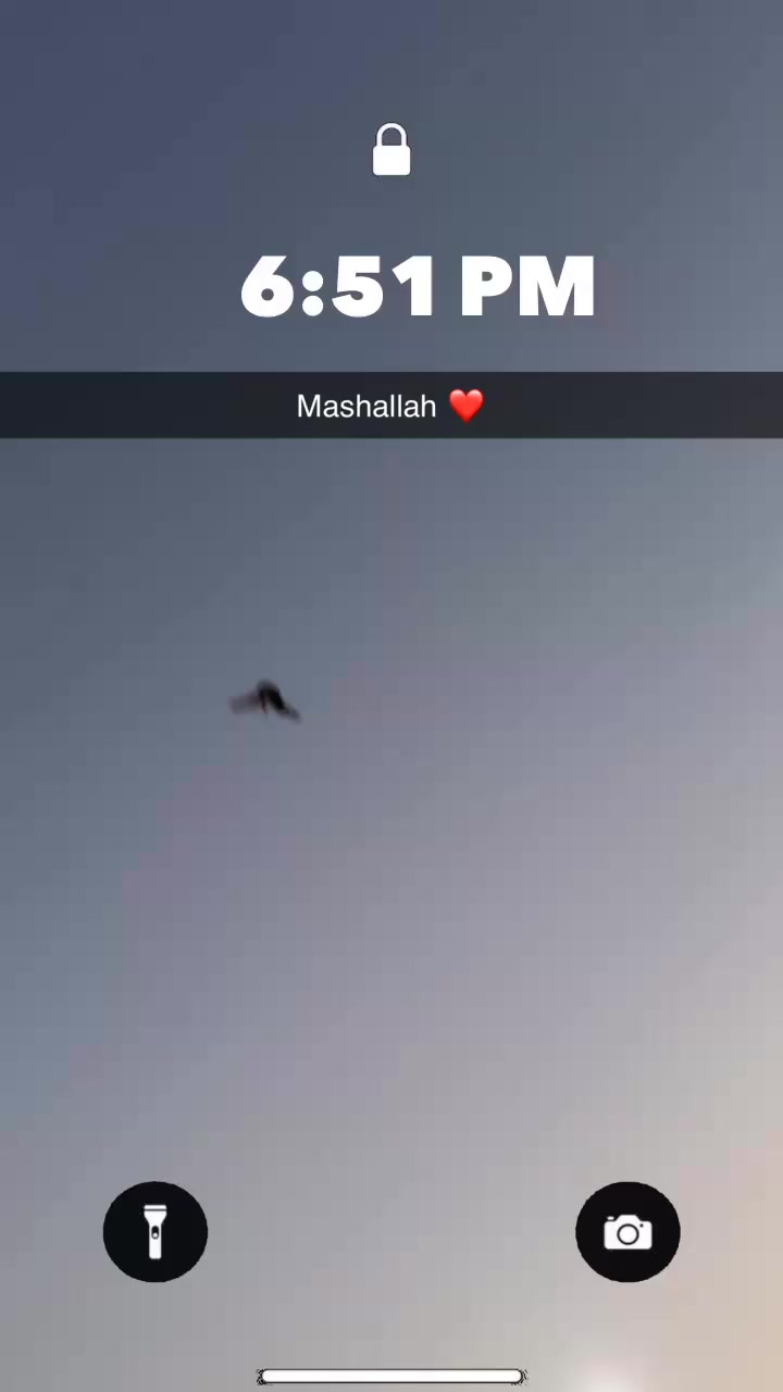 @👑چوہدری محسن چیمہ🦅