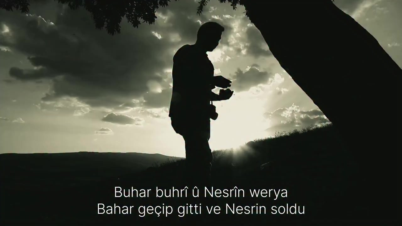@stranekurdi