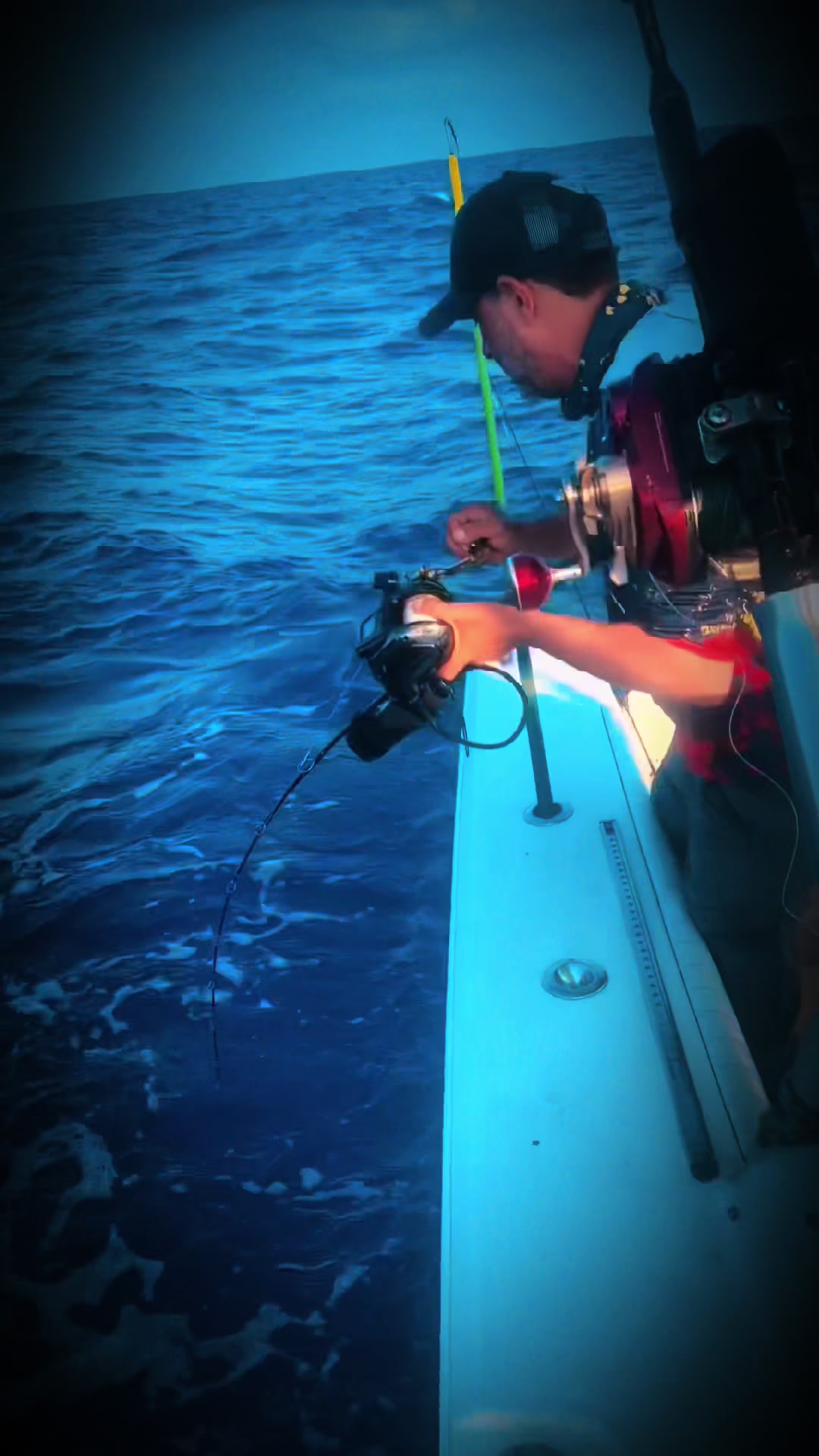 @Ayman Fayed