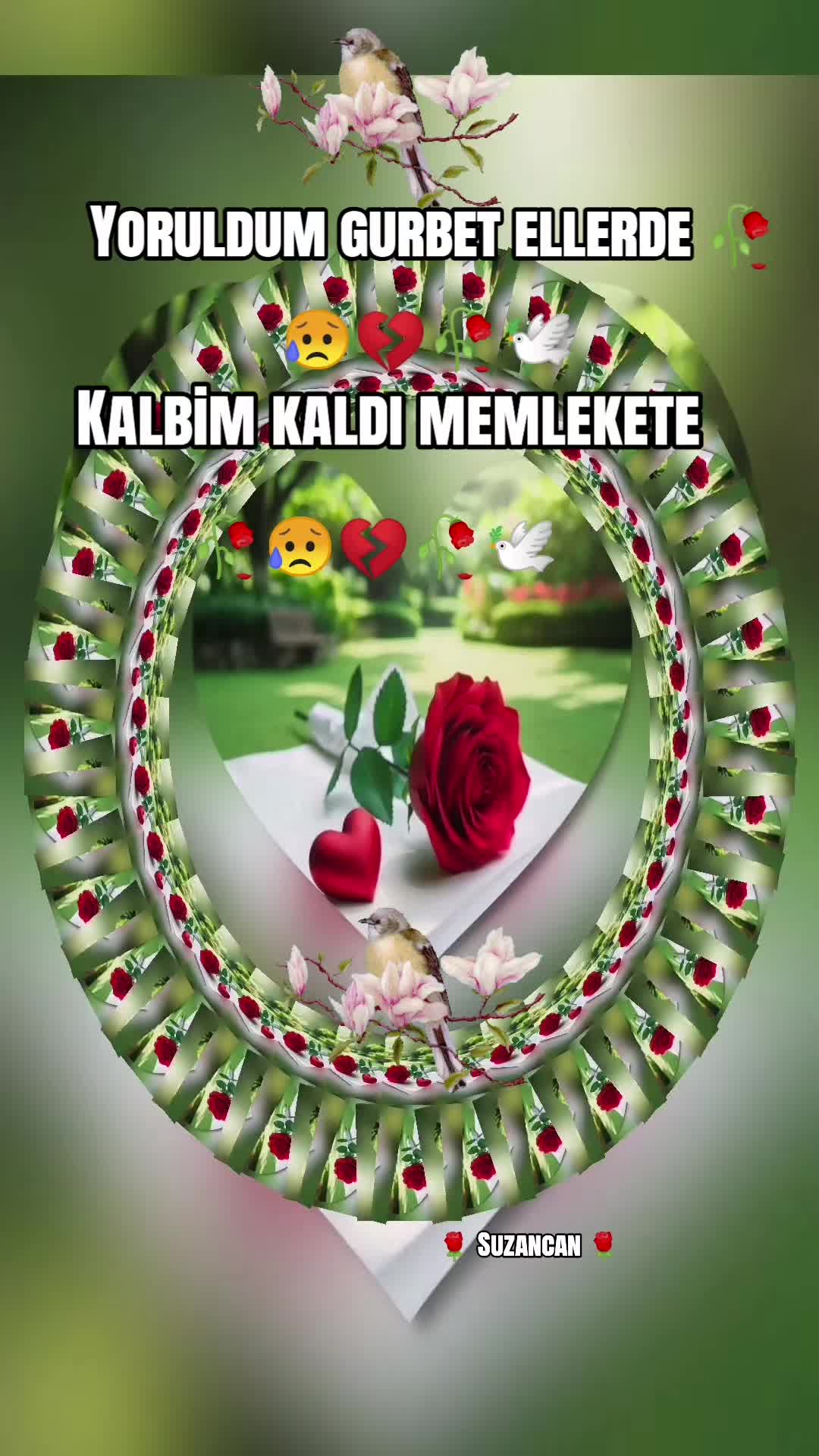 @🌹Suzancan🌹