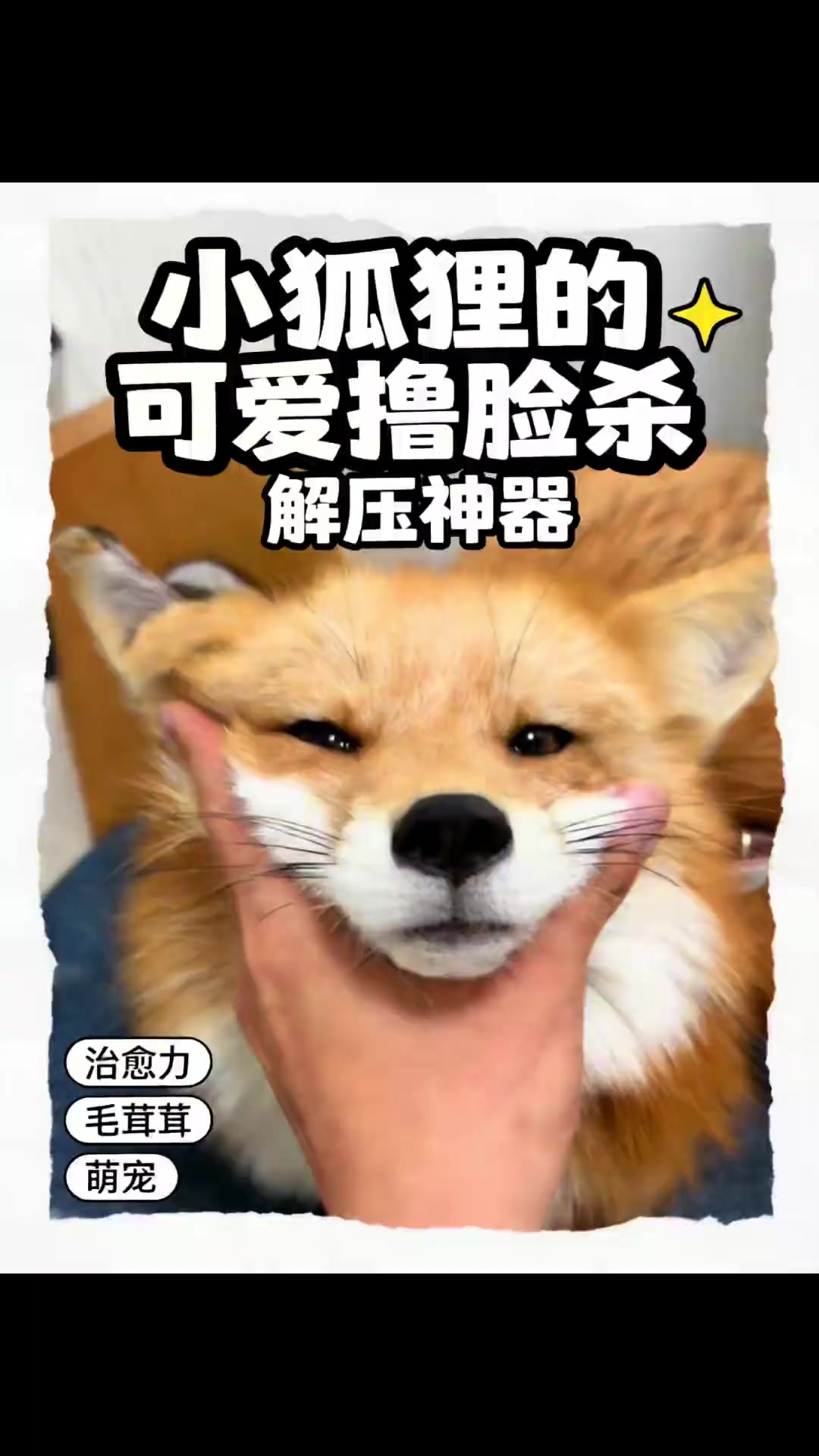 @wenping304