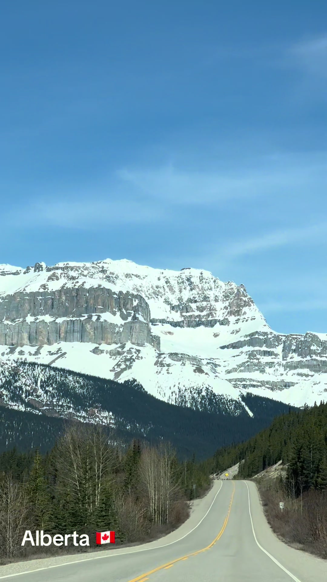 @Ada 🇨🇦