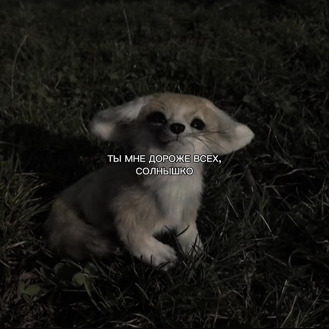 @ХХИКА