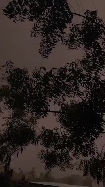 @💞Yamunadevi Jayabalan💞