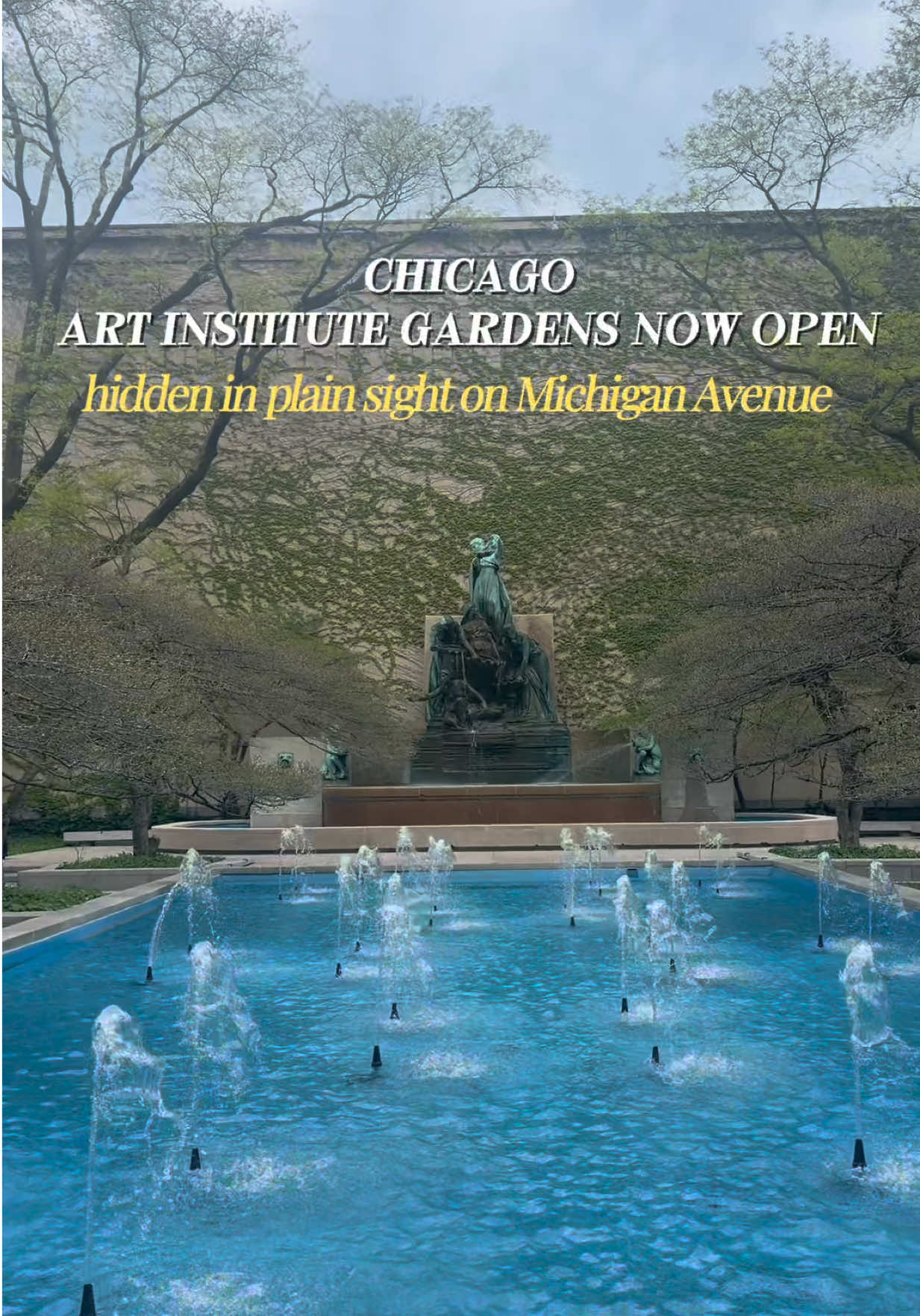 @Pooja Naik | Chicago Lifestyle