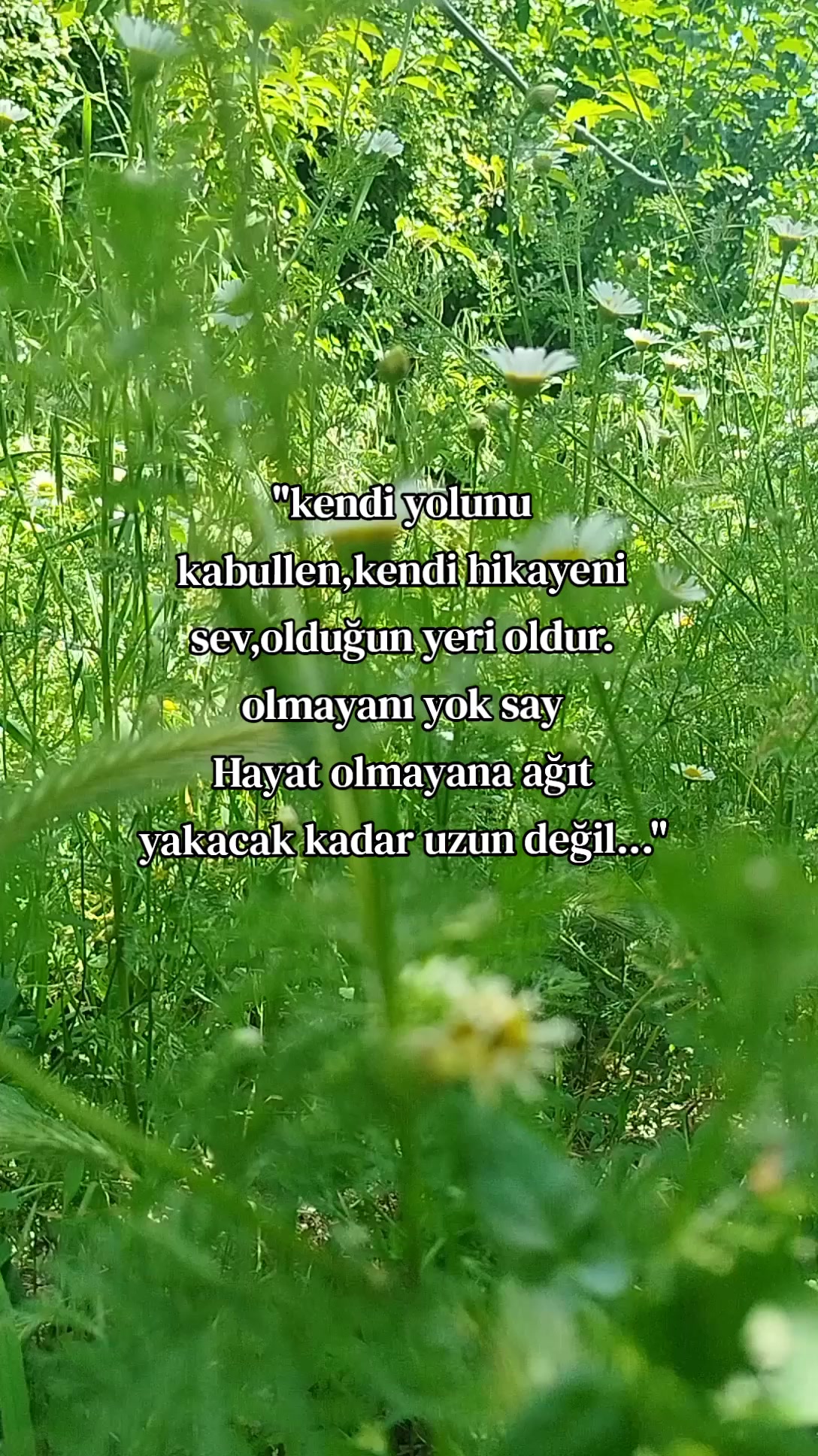 @✿ Mürüş ✿