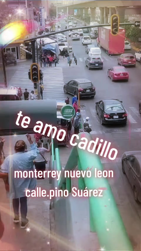 @🛸♾️😸elgatoconbota😸♾️🛸