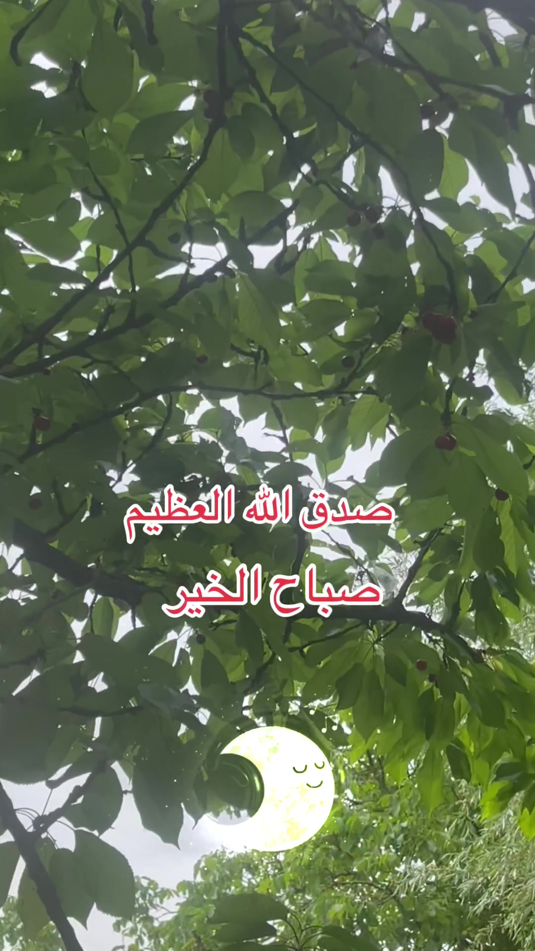 @🇲🇦 جودي  🇫🇷