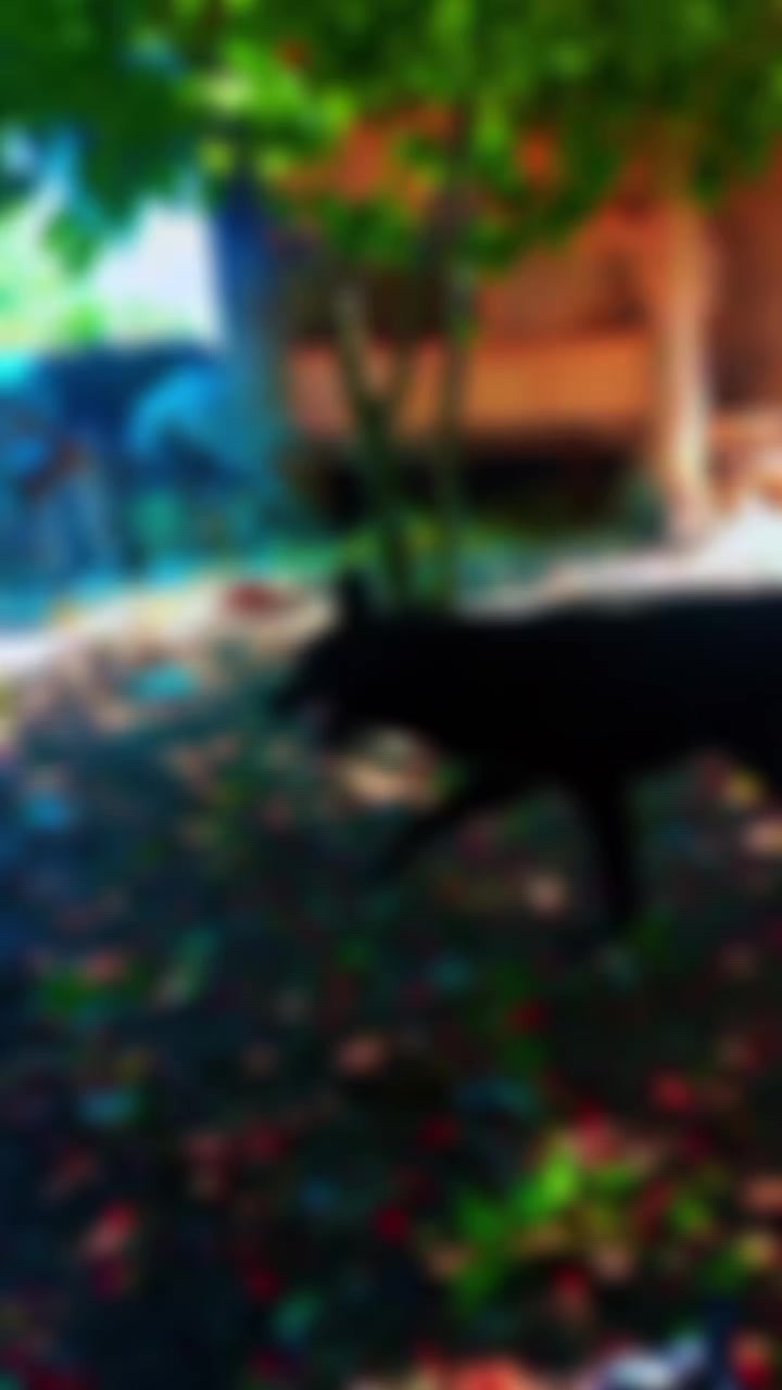 @خـــيــرو 🇩🇪🐺