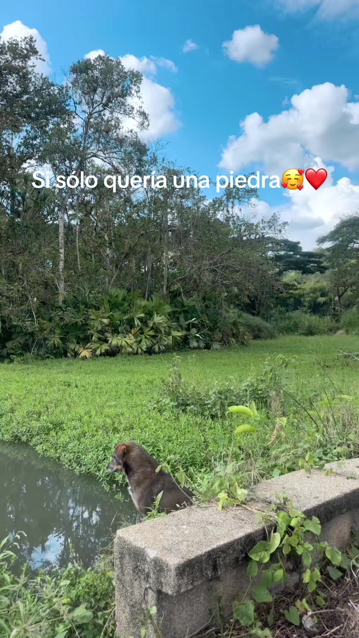 @Naty09f