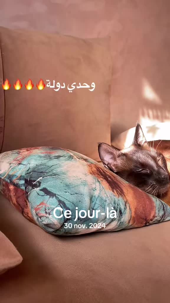 @M E R Y´S L I F E