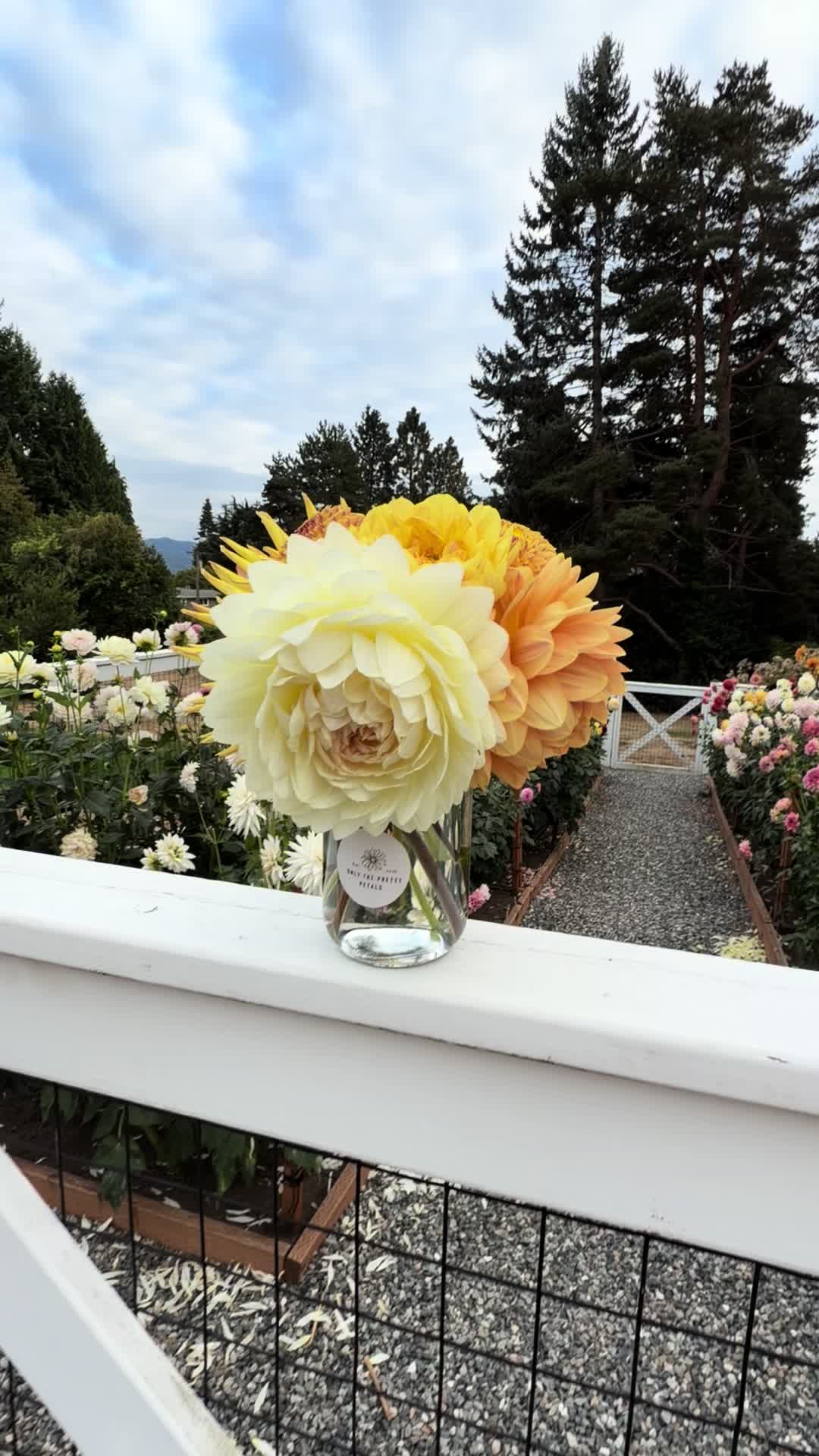 @Only The Pretty Petals