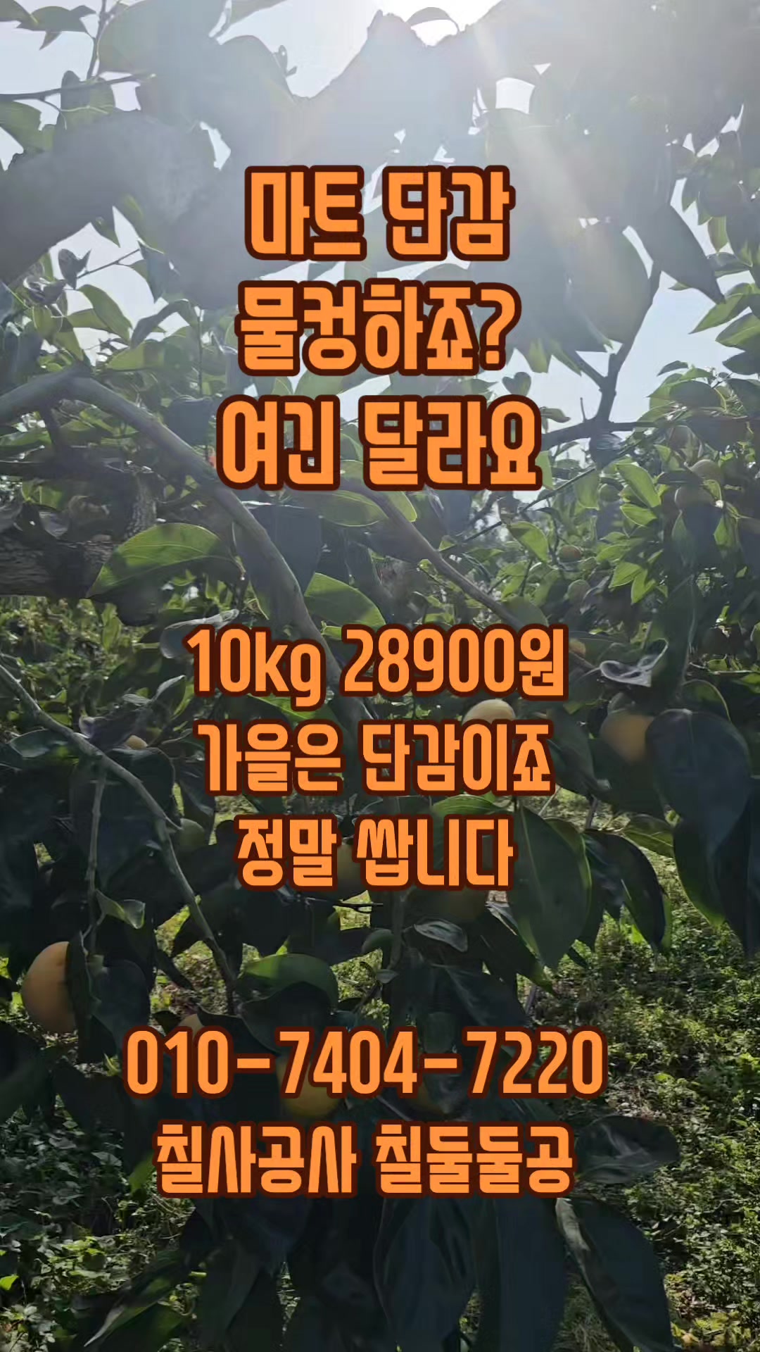 @새콤과일장터
