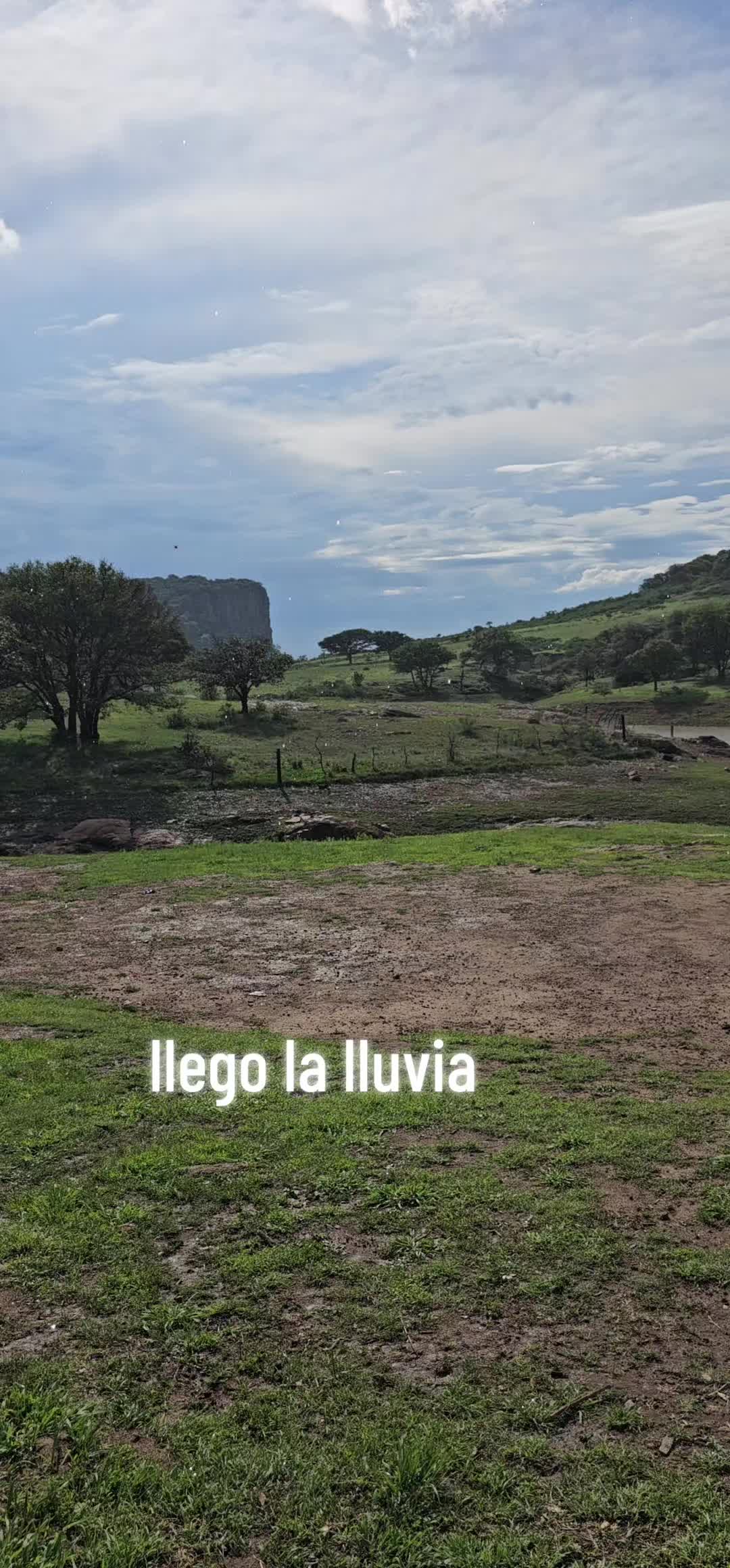 @memohuerta