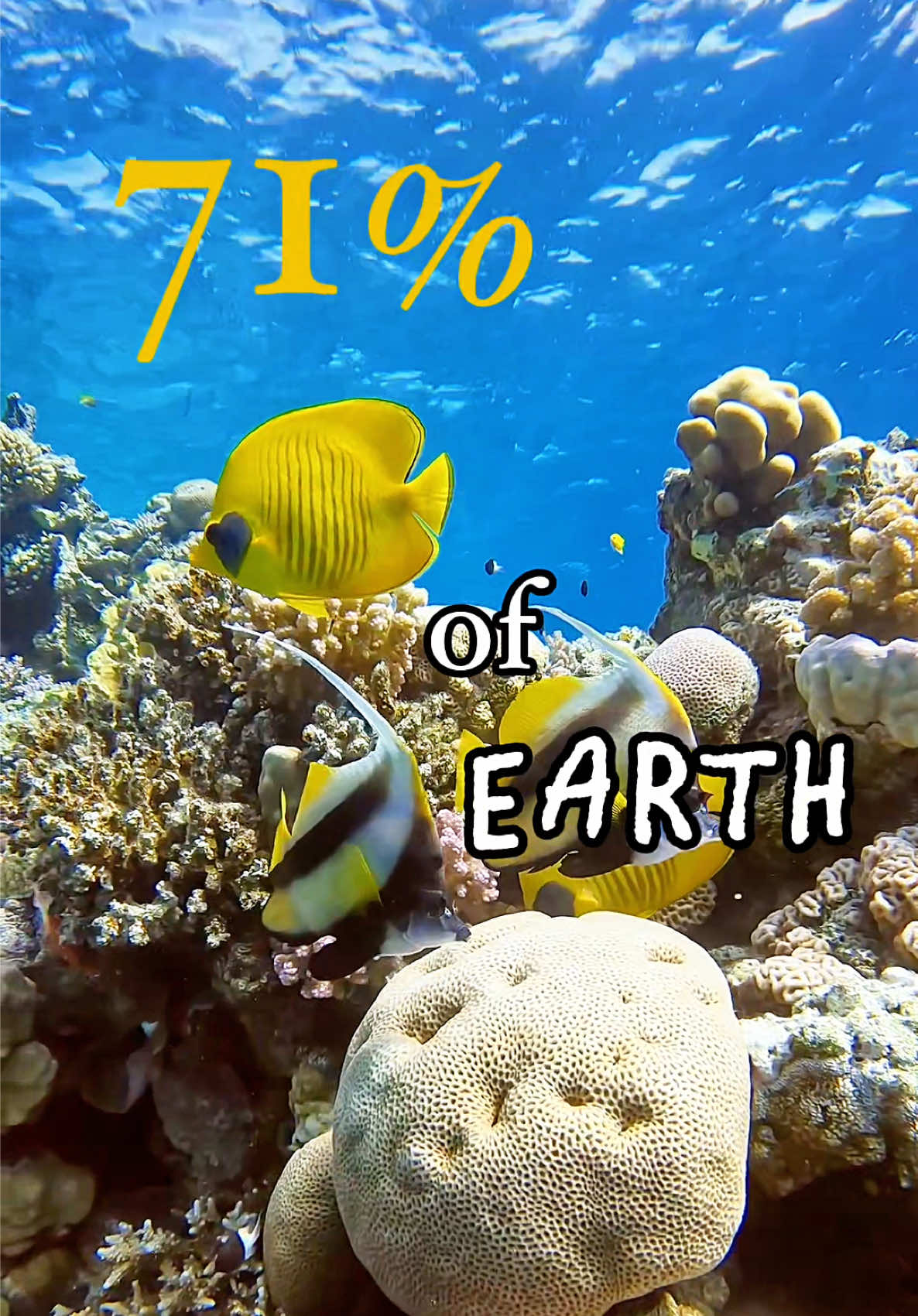 @Underwateramira 🤿♥️