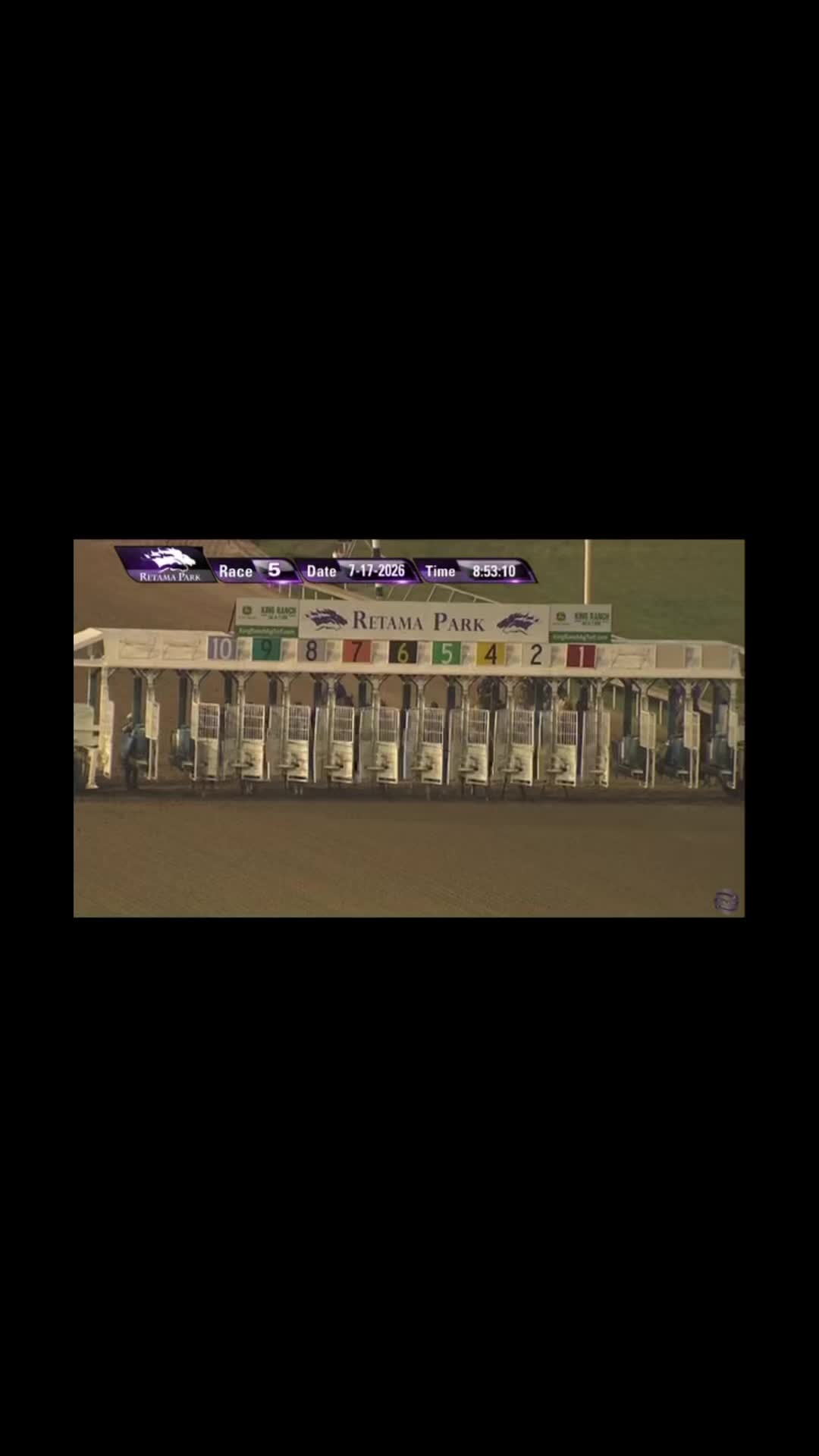 @JM Performance Horses