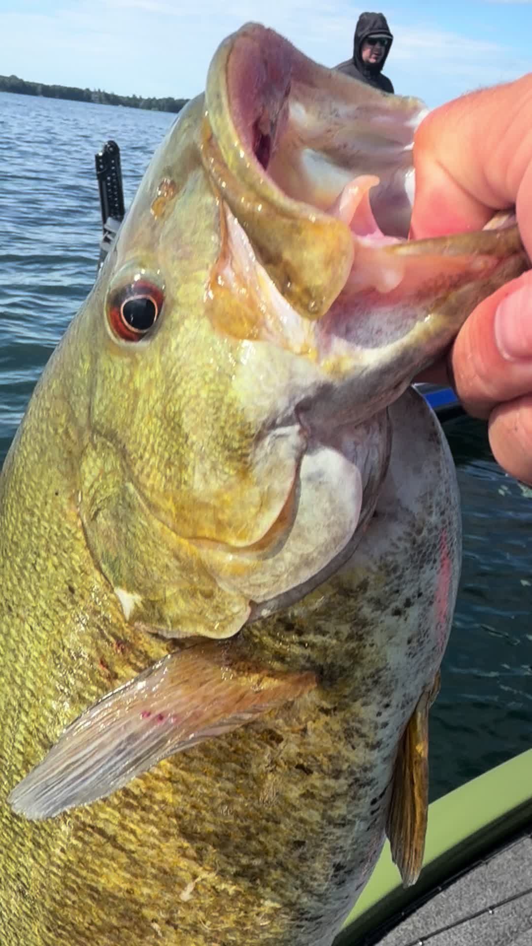 @wildbillfishing