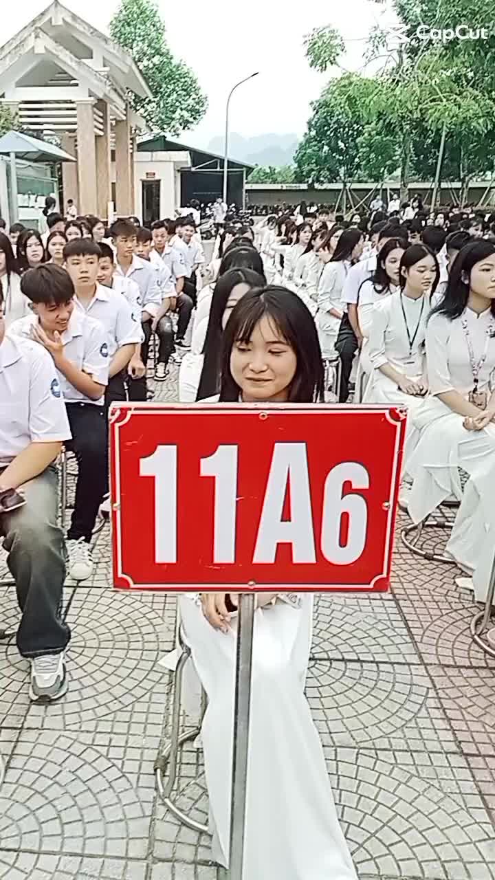 @T.Nga