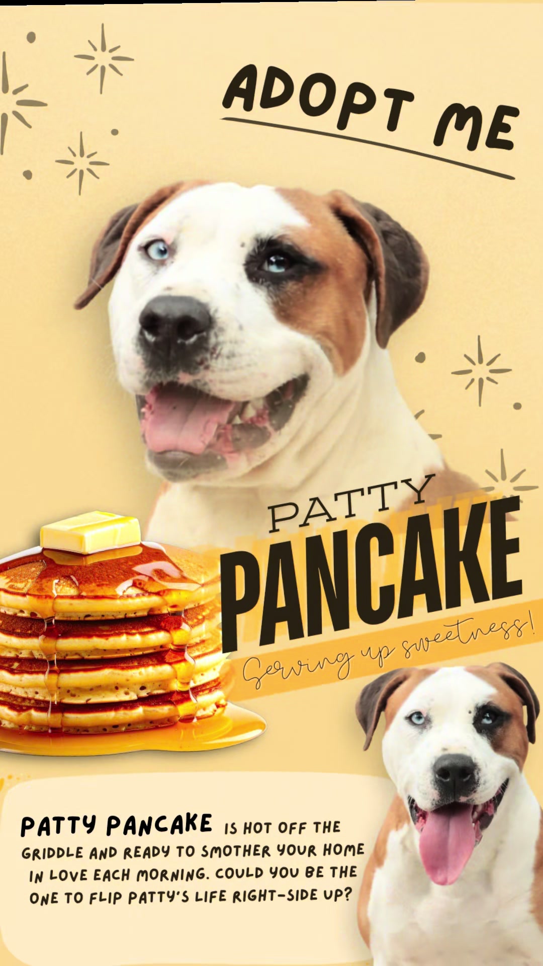 @PAWS