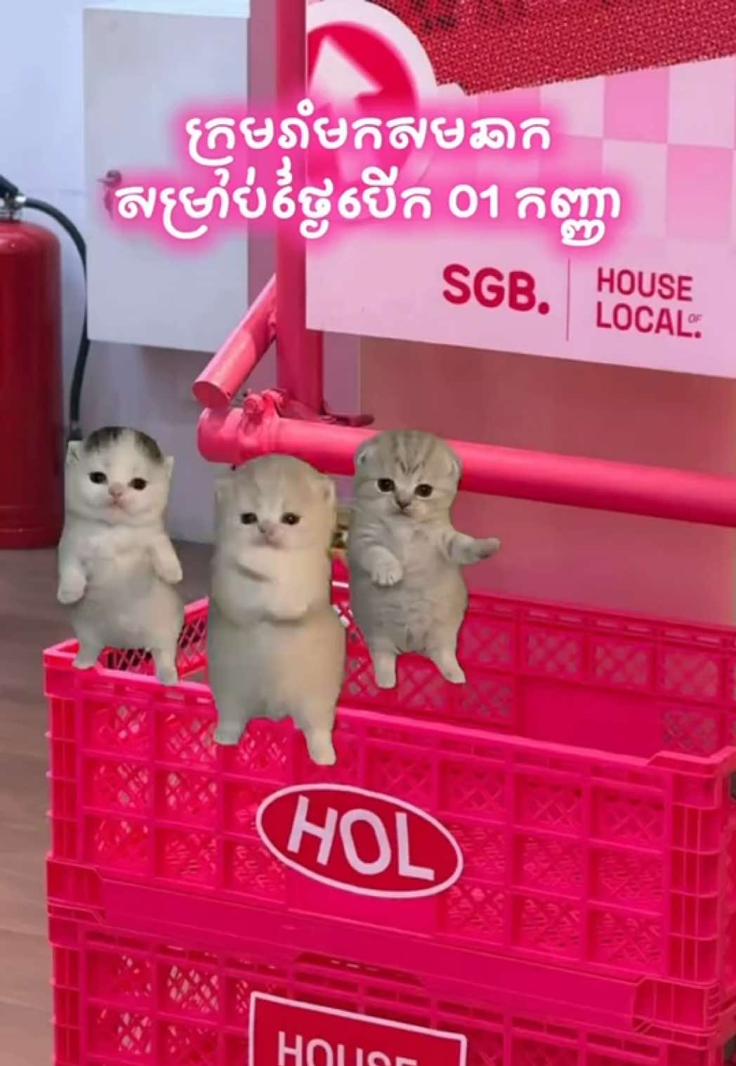 @SGB