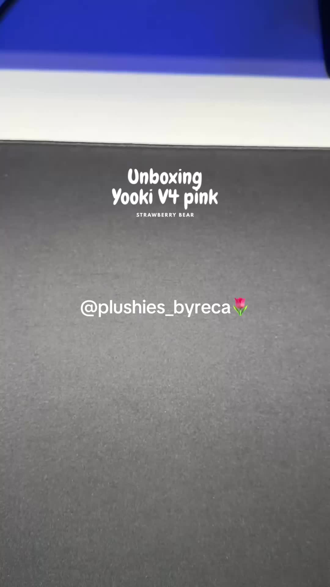 @recaplushies 🌷