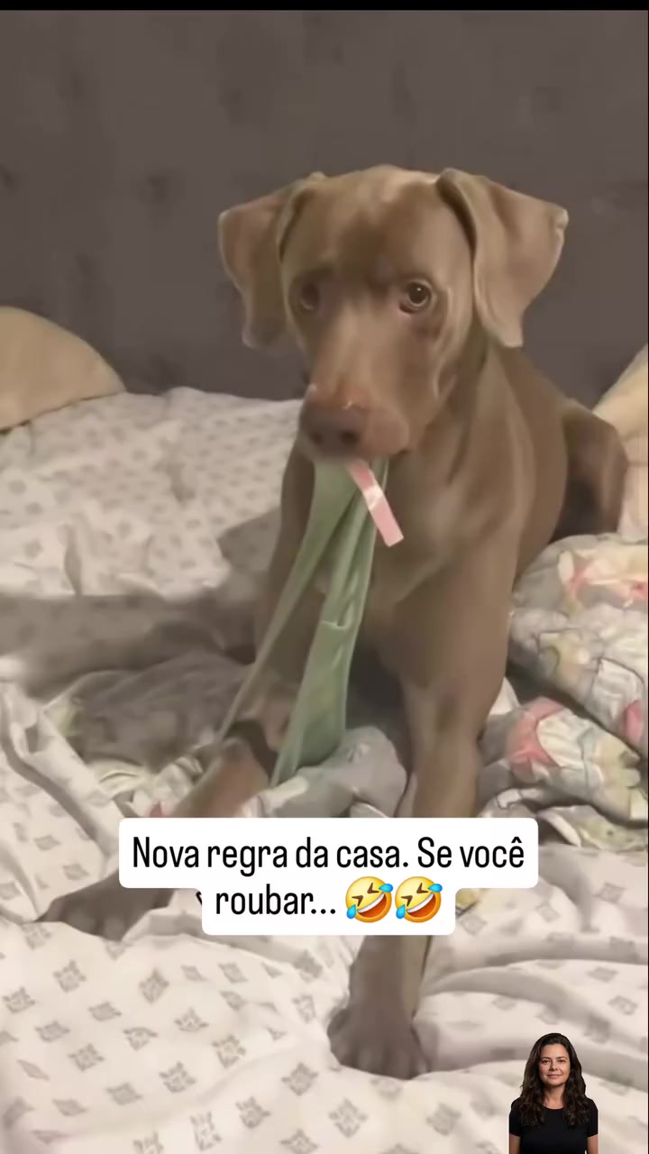 @Hugo