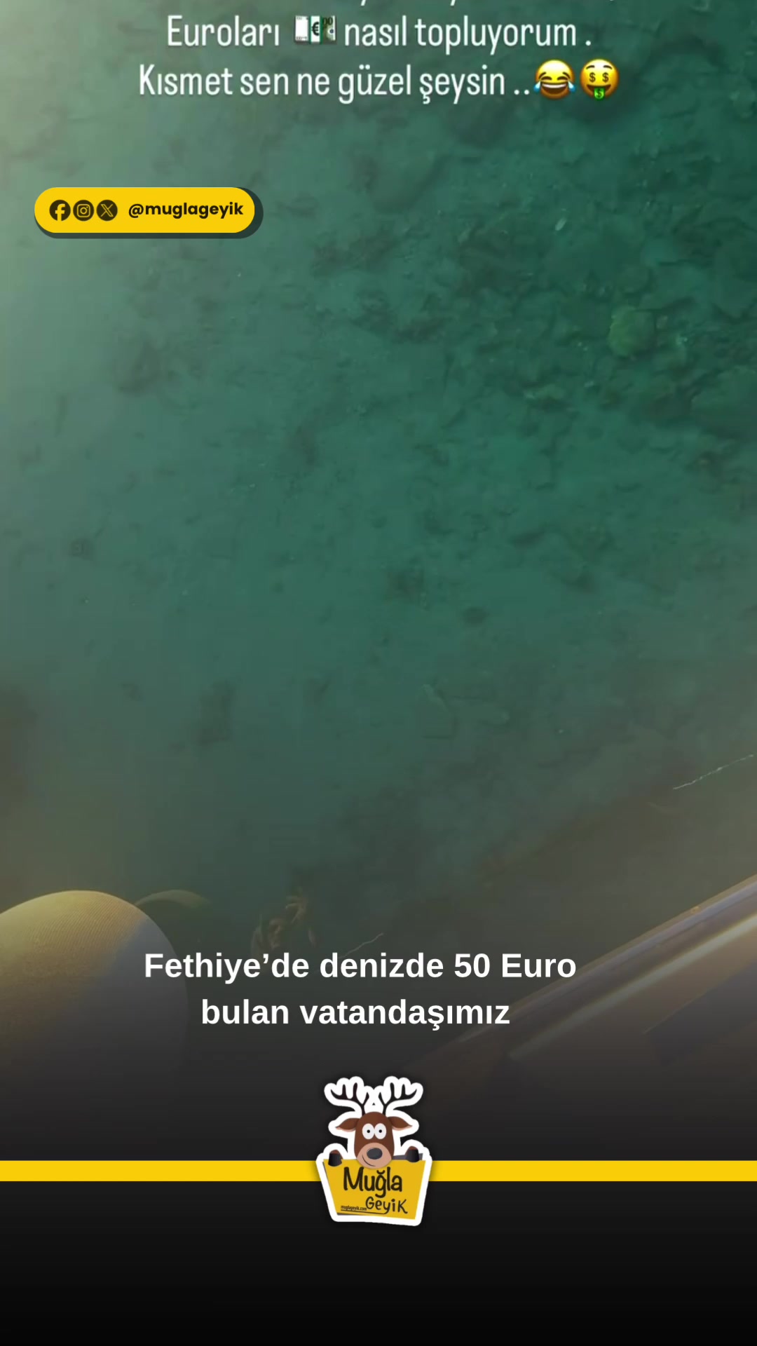 @Muğla Geyik