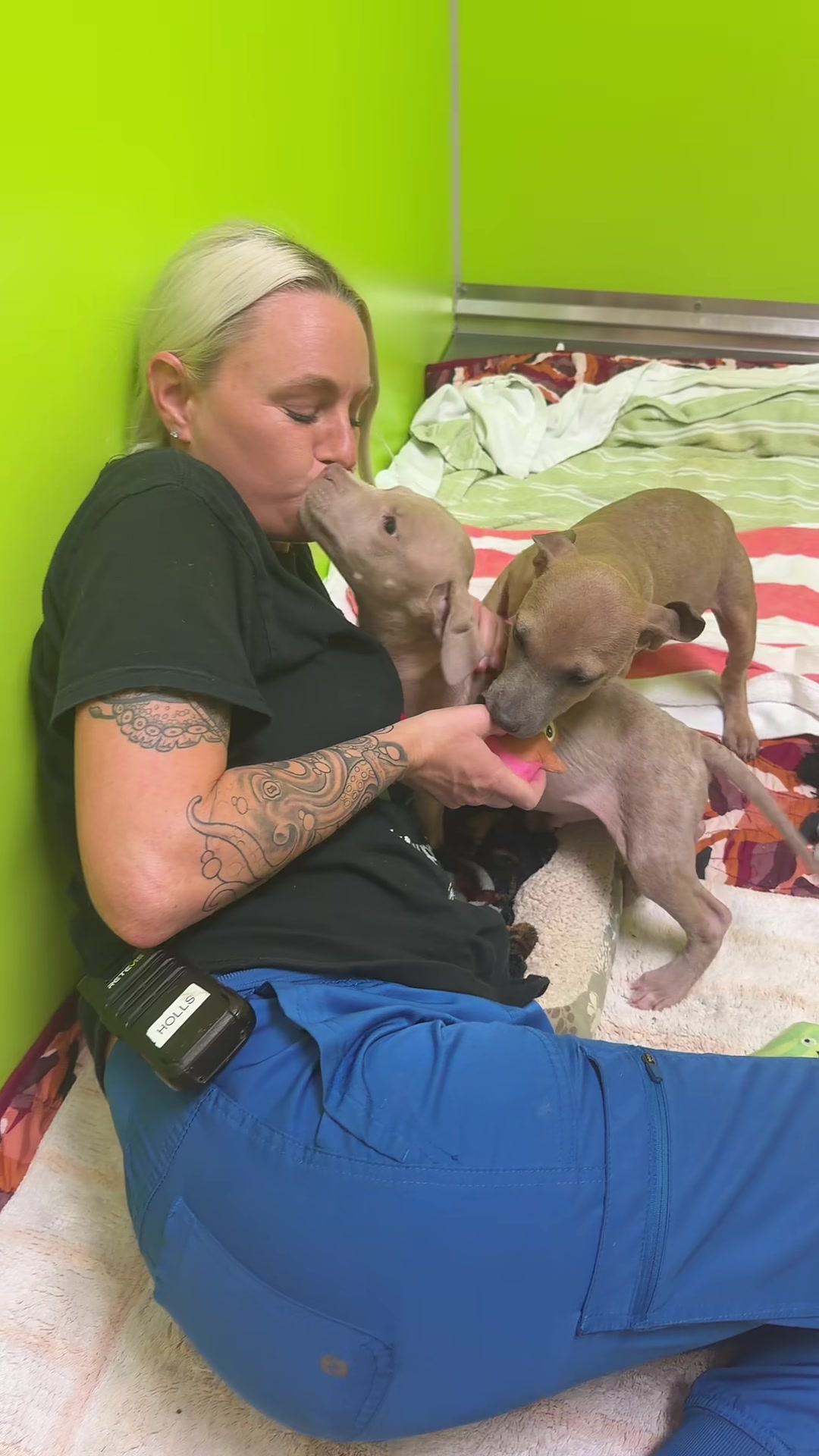 @2vettechs