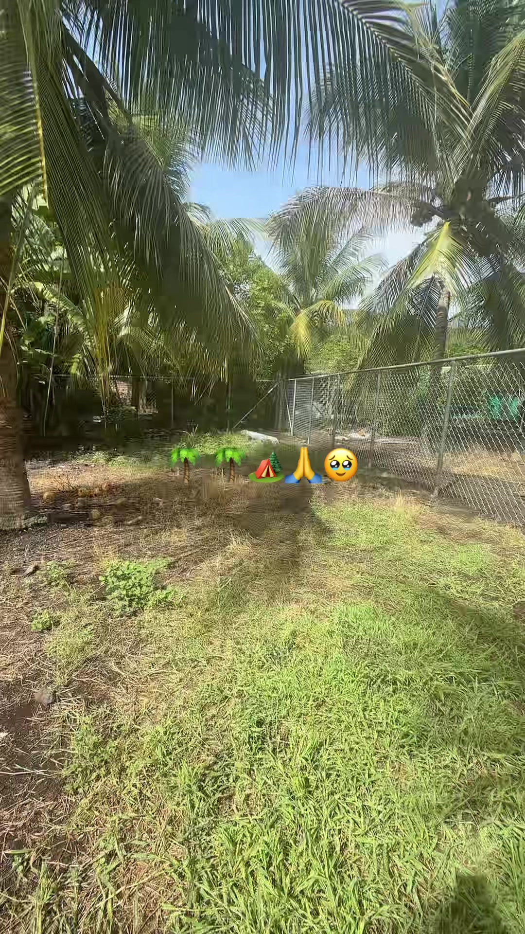 @Claudia Cartagena