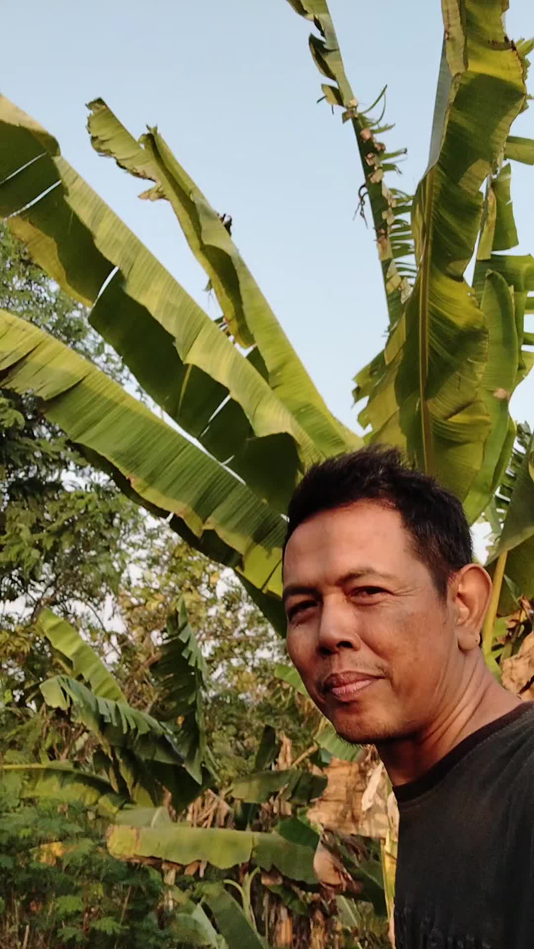 @Mang Warsan