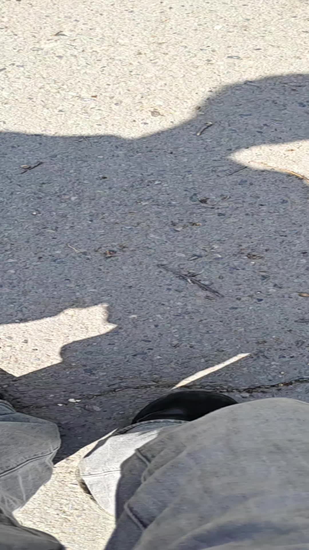 @пиздажопа