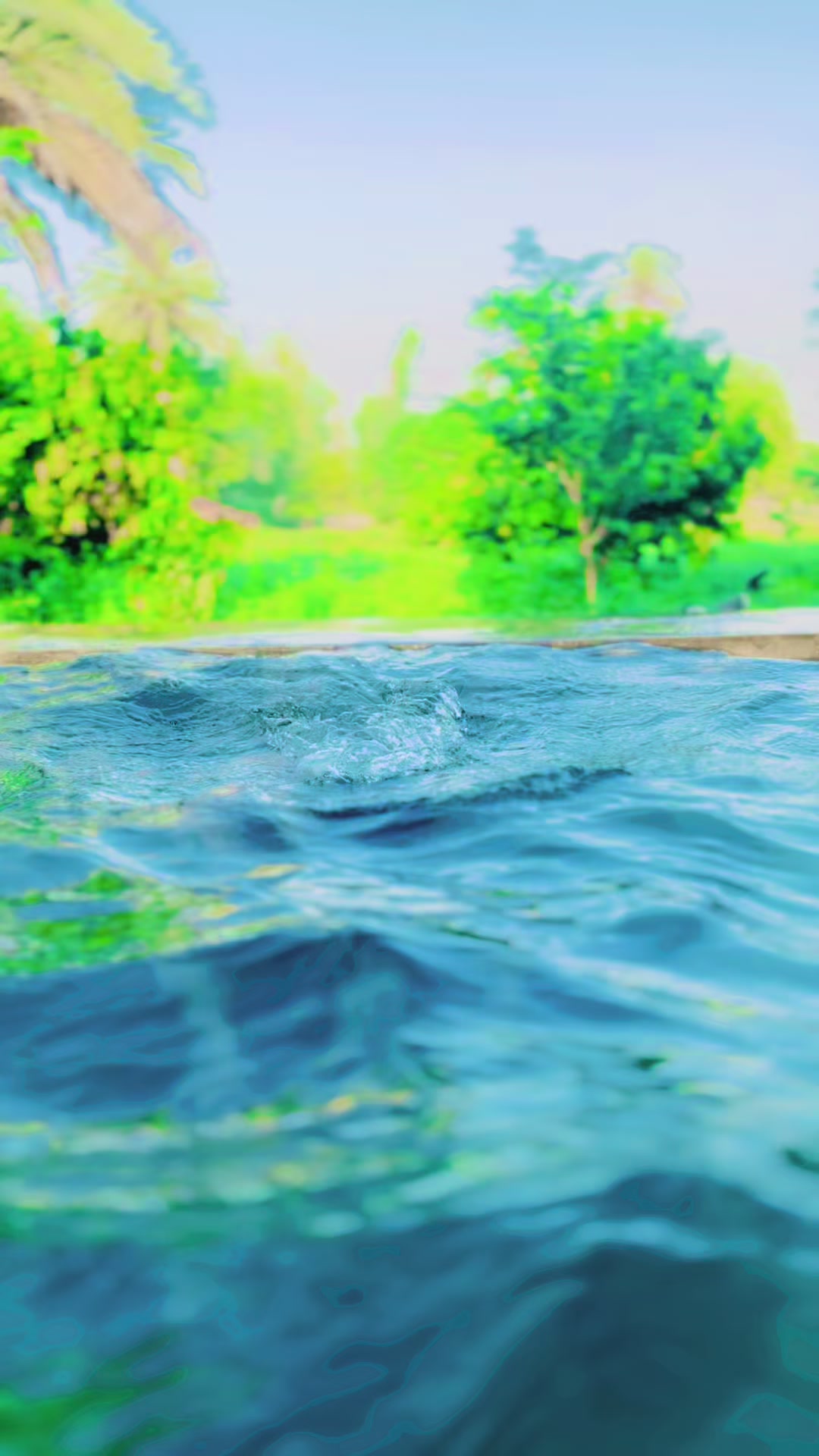 @➳ᴹᴿ᭄𝕽𝖆𝖍𝖆𝖓 𝕼𝖚𝖗𝖊𝖘𝖍𝖎