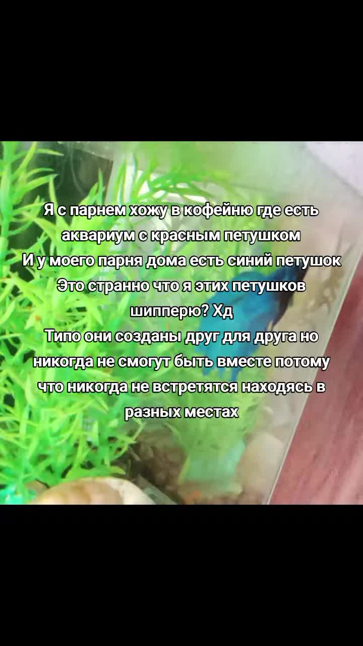 @Metrovaliz