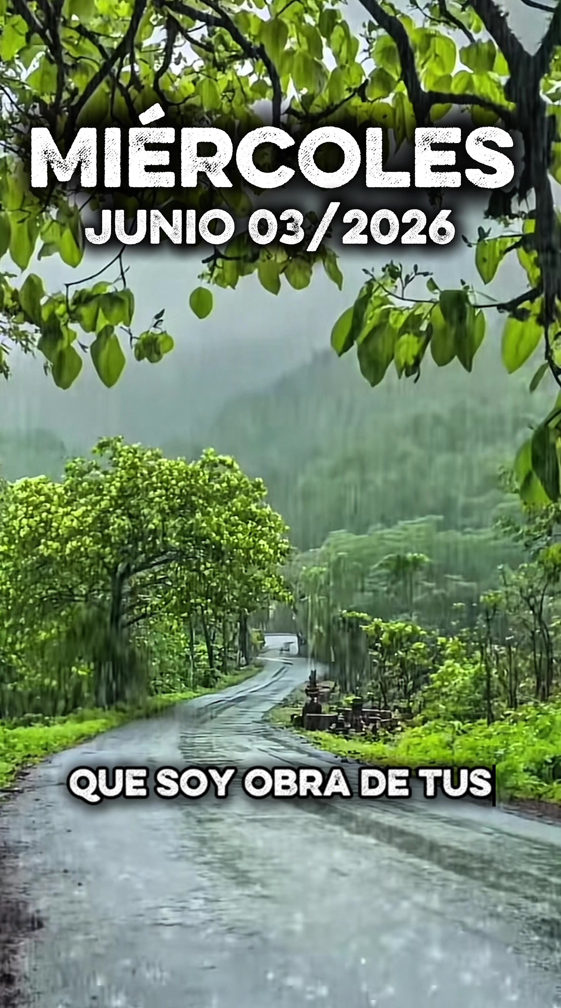@M&uacute;sica del Cielo