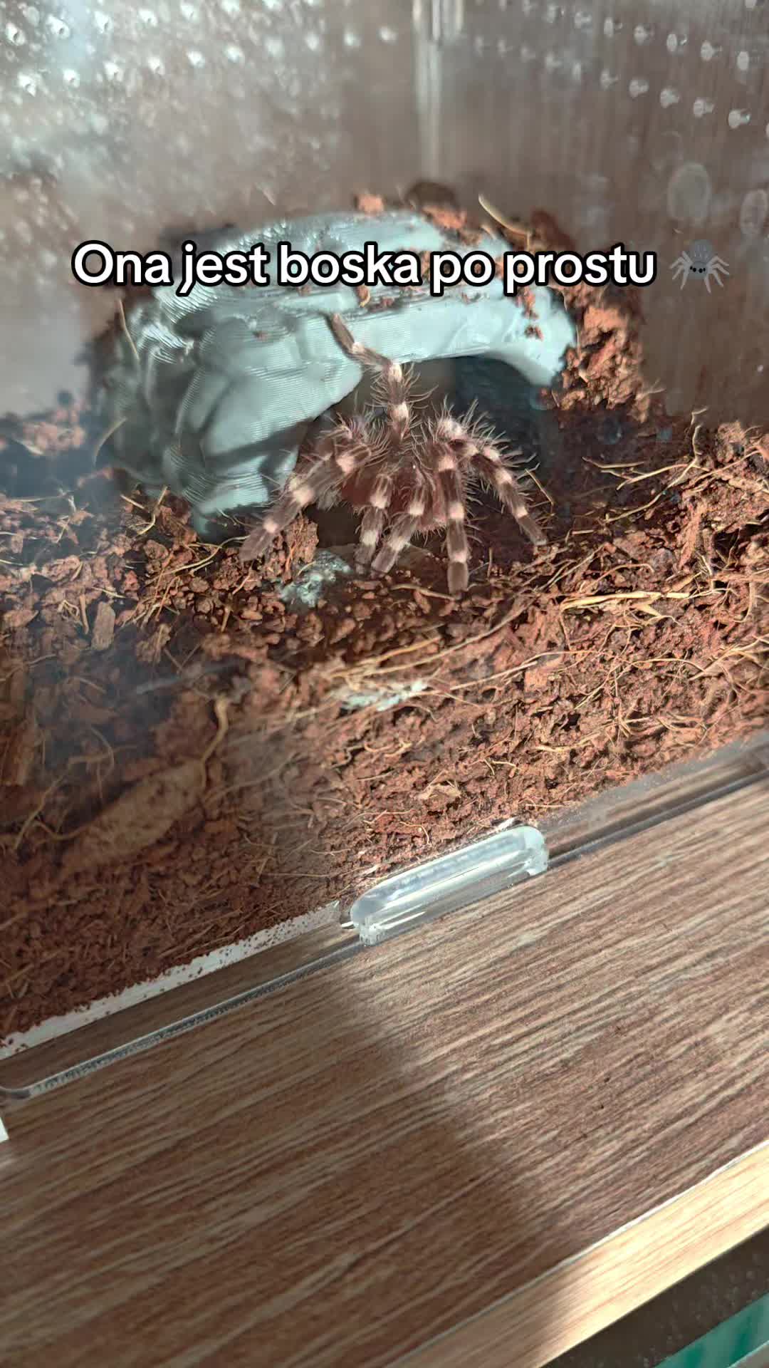 @Magdalena® 🕷️🐍🦂🪴