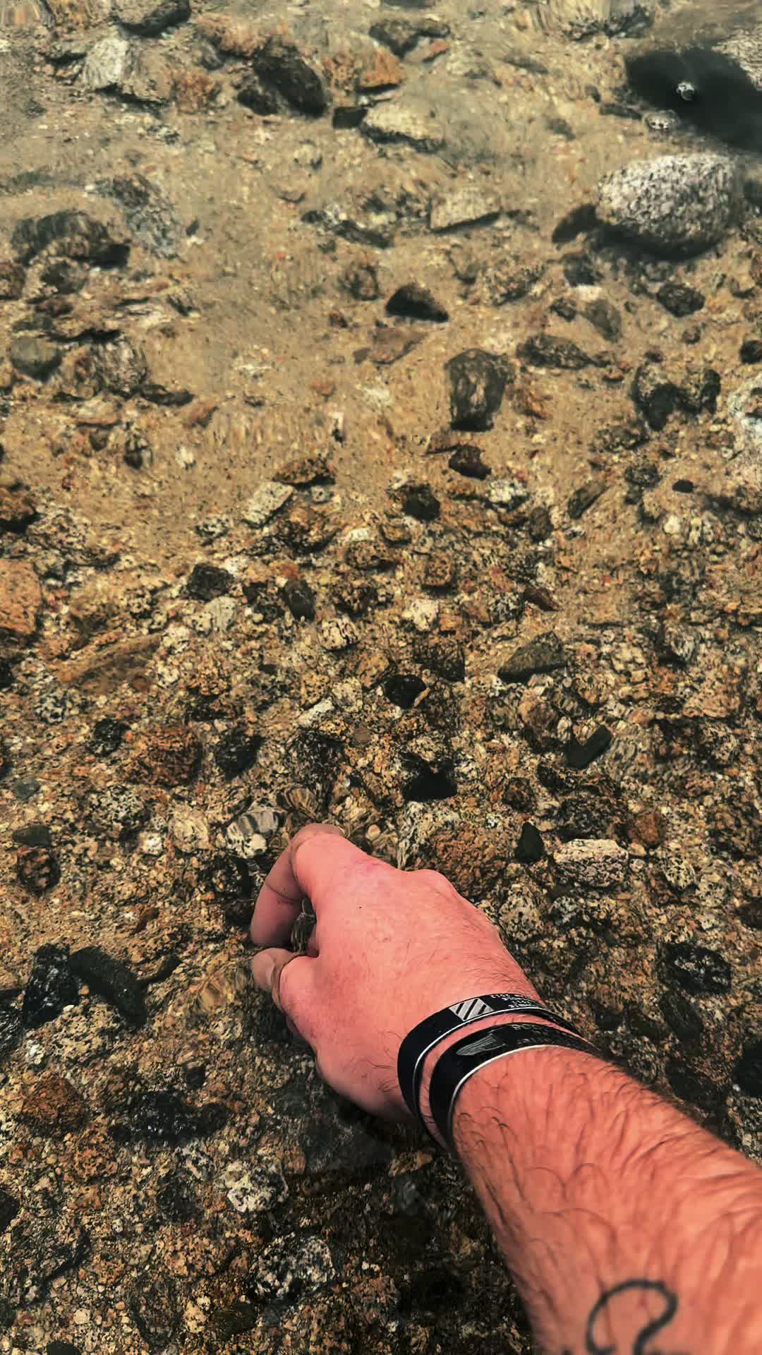 @🌲 James | WA 🏔️