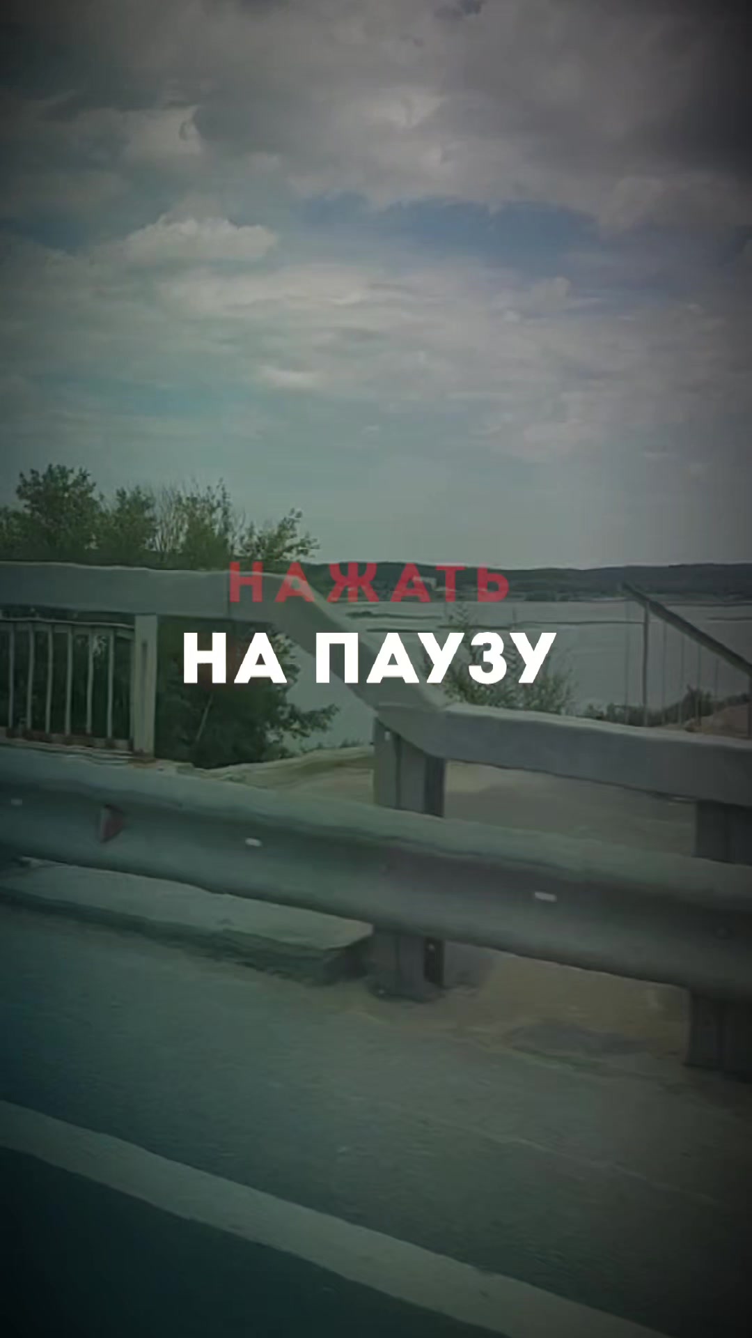 @🐶Людмила😺