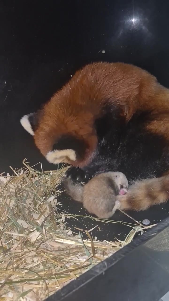 @Cincinnati Zoo